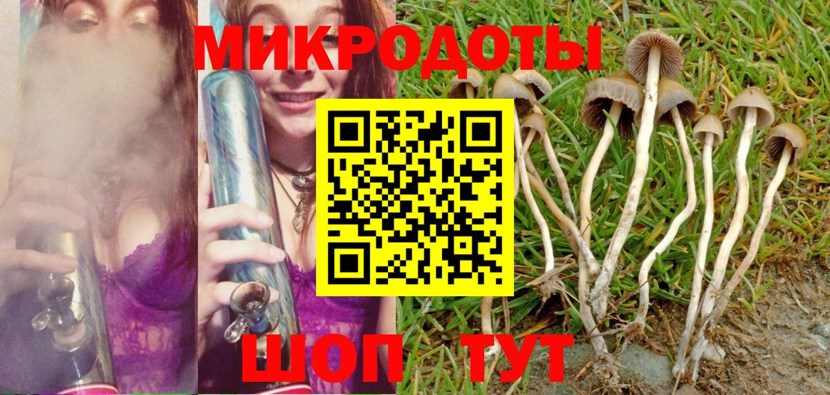 Псилоцибиновые грибы прущие грибы Кубинка