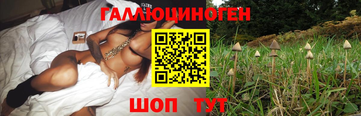 Псилоцибиновые грибы GOLDEN TEACHER  магазин    Кубинка  Псилоцибиновые грибы мухоморы  Вход с VPN 